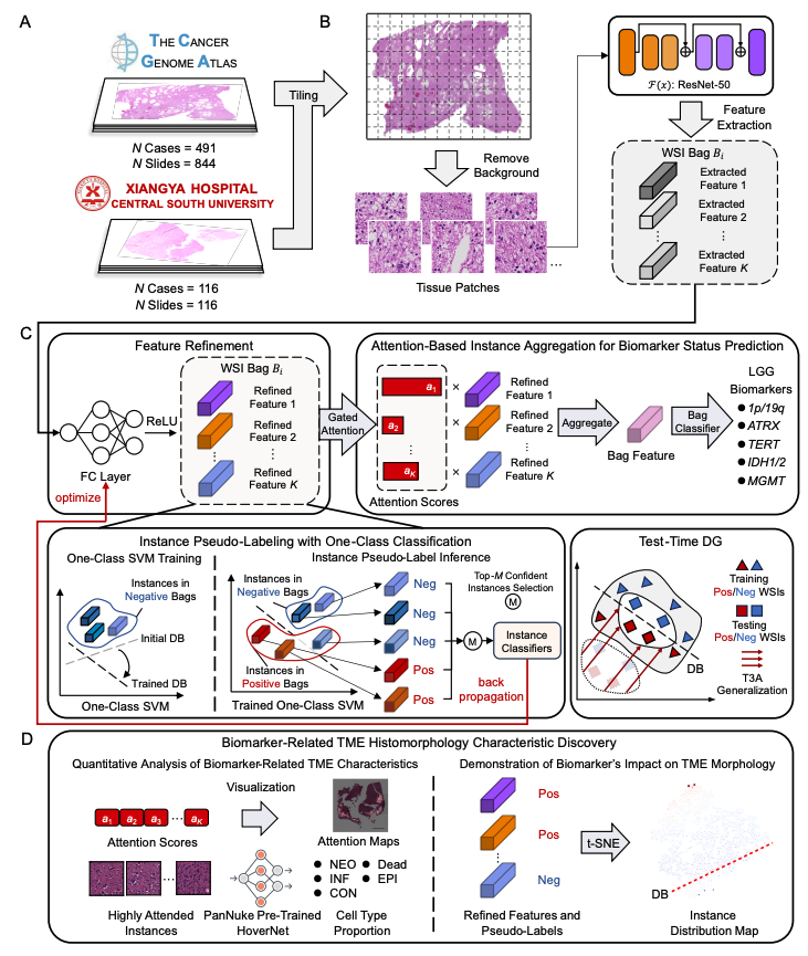 Biomarker Prediction